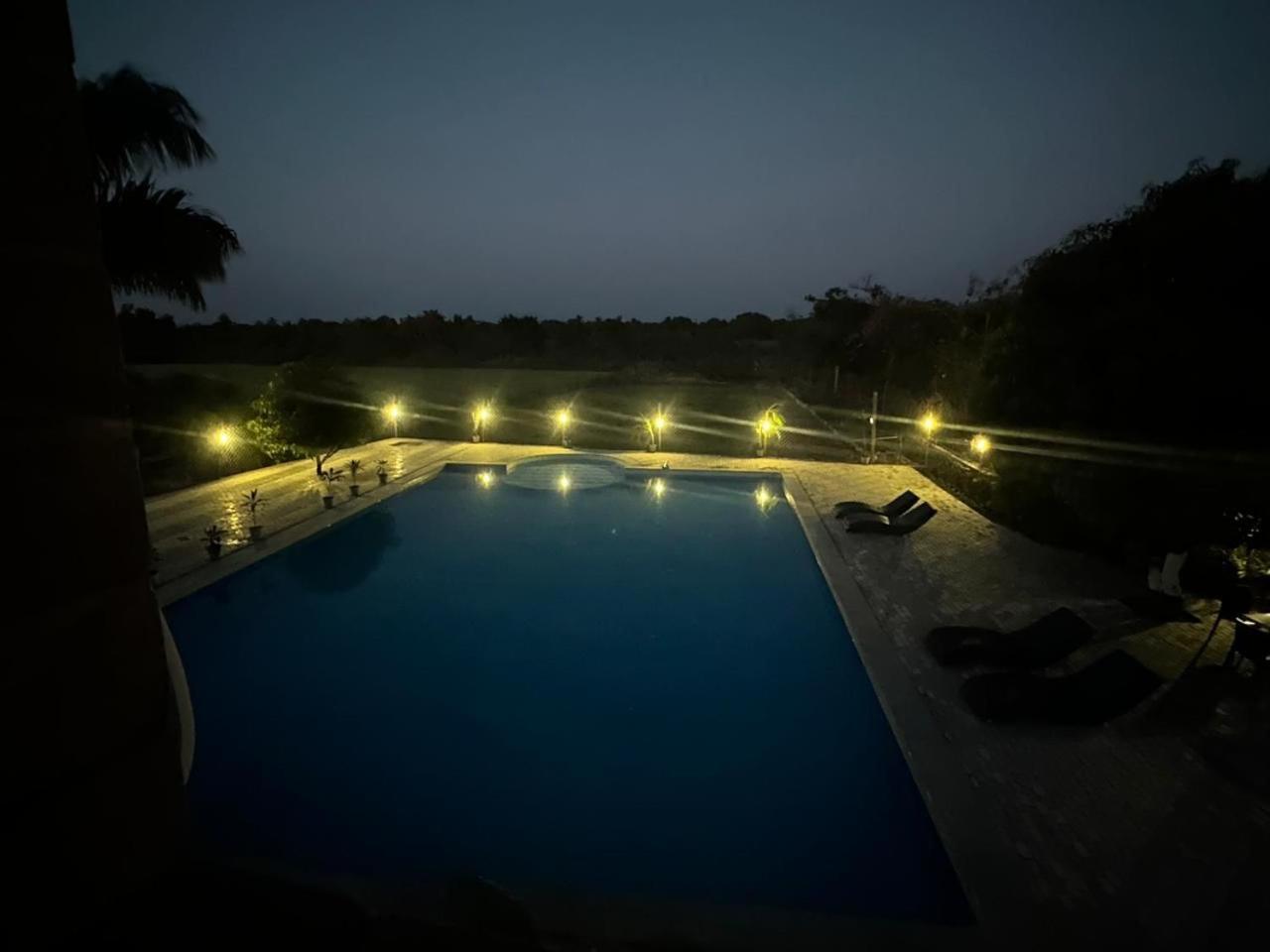 Gir Night Resort Sasan Gir Dış mekan fotoğraf